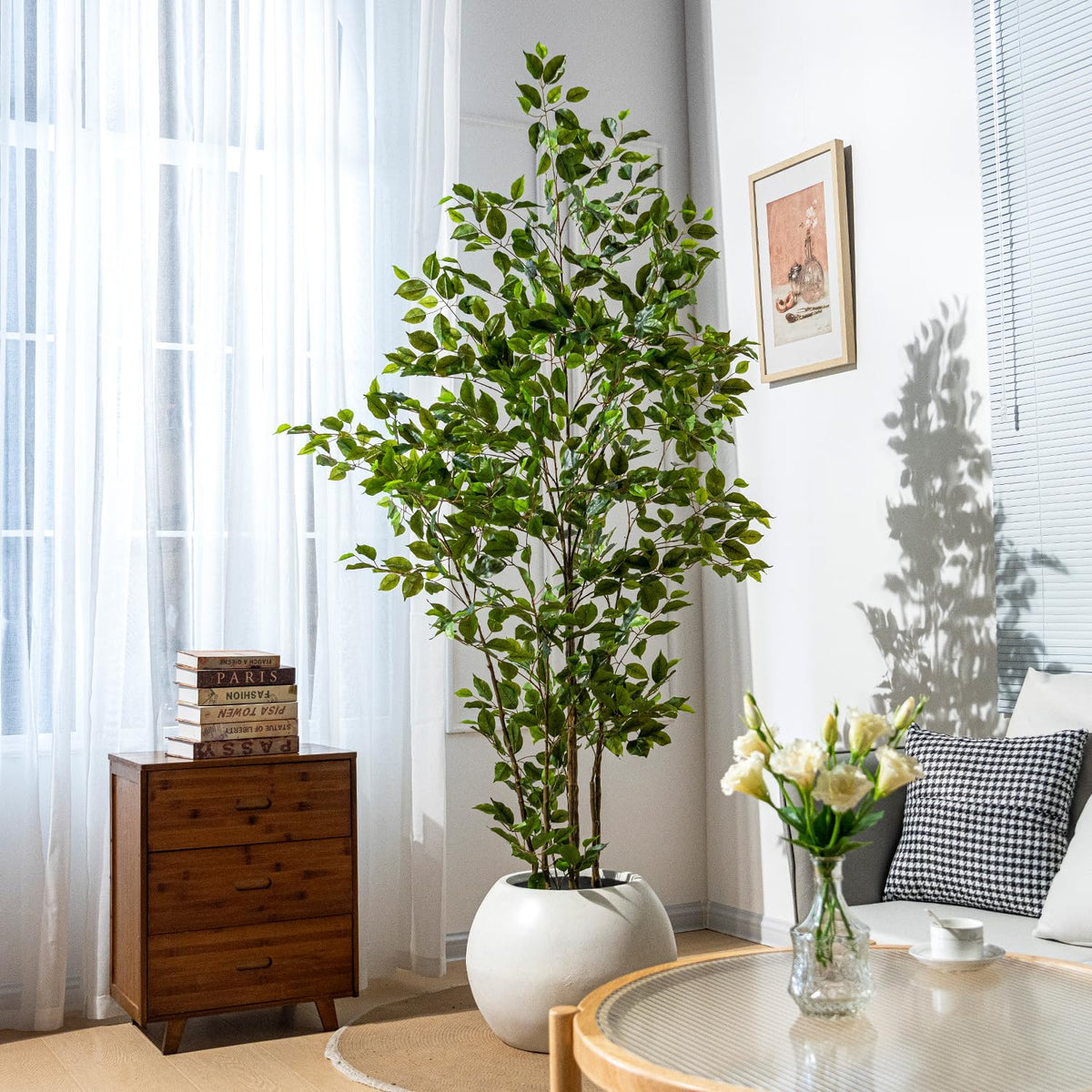 Bailikang ficus tree on office desk adds greenery without maintenance