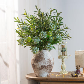 Bailikang olive-branch low-maintenance display with simple care