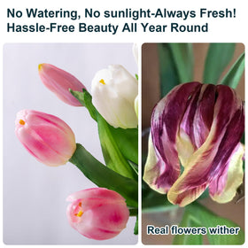 Bailikang Tulips no-glue assembly allows effortless decorating.