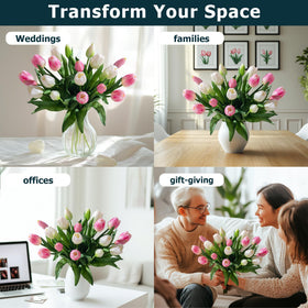 Bailikang Tulips silky leaves highlight smooth texture for stylish interiors.