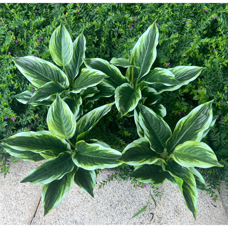 Bakoukiter artificial variegated hosta bush with lifelike leaves for outdoor decor.