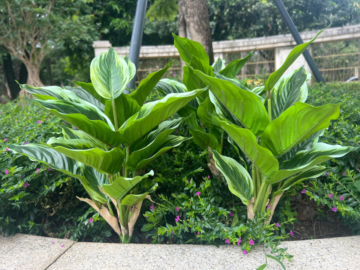 Bakoukiter realistic tropical foliage enhances shelves and entrances.