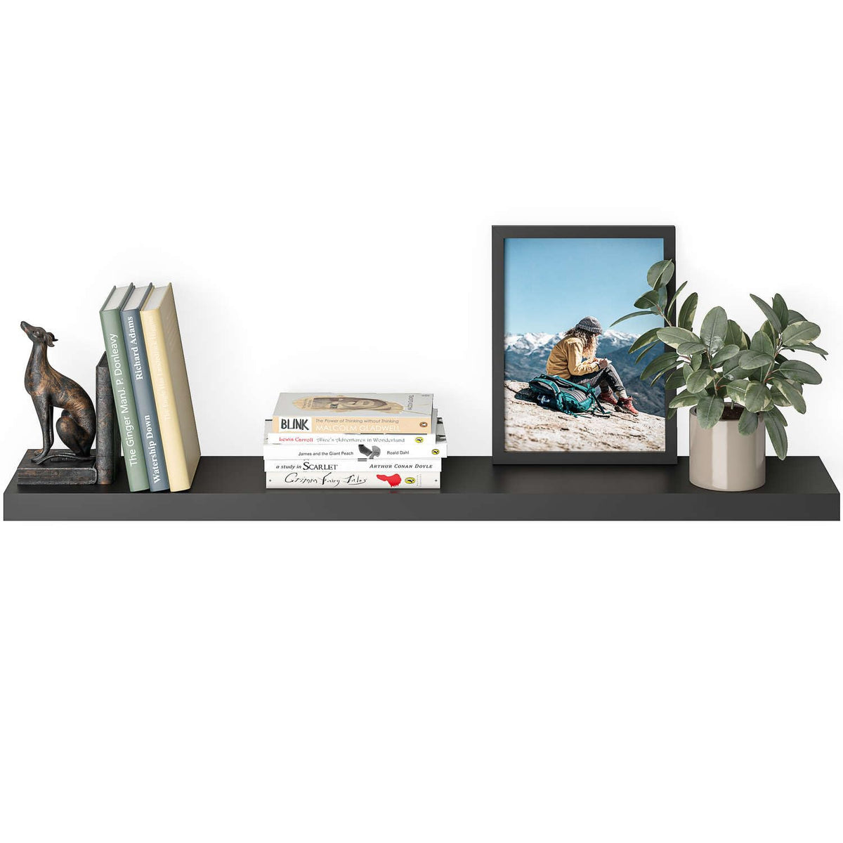 Ballucci living room setup with plants and frames for modern style.