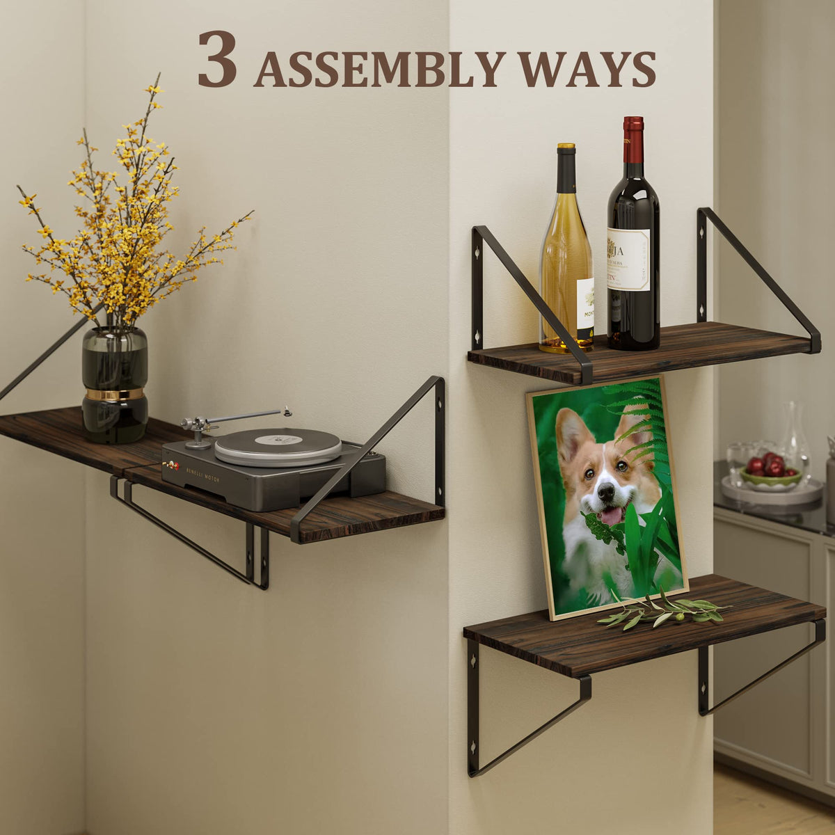 BAMEOS versatile shelf used as wall decor in a living room setting