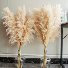 Bannifll 40-inch pampas grass tall for dramatic floor display