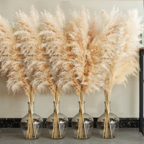 Bannifll 40-inch tall pampas grass 20 stems for elegant floor display
