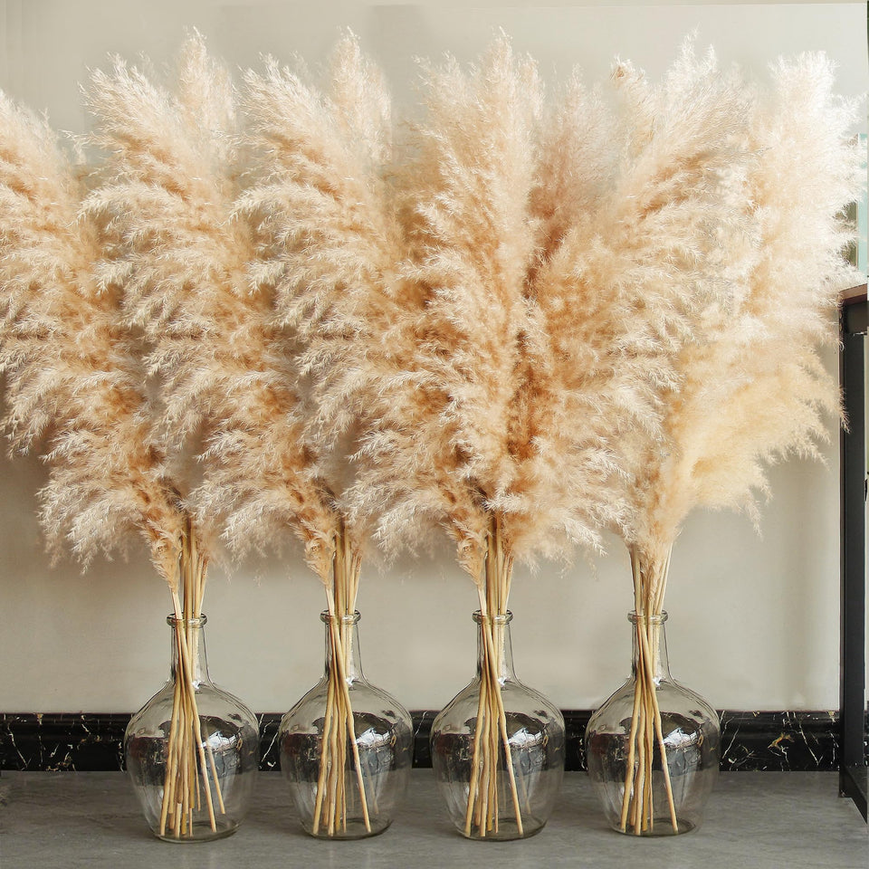 Bannifll 40-inch tall pampas grass 20 stems for elegant floor display