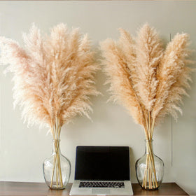 Bannifll boho decor pampas stems for wall or table.