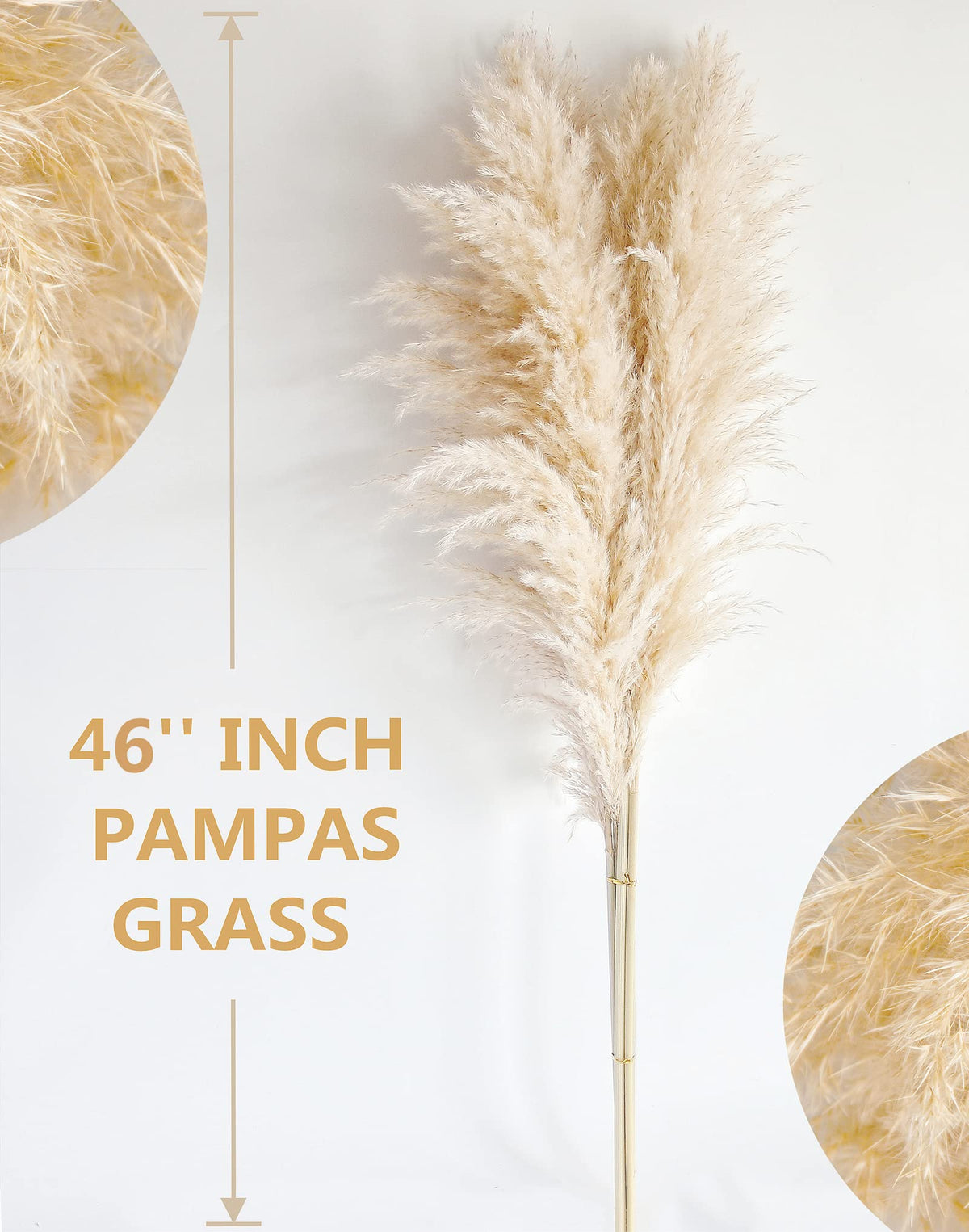 Bannifll boho wedding pampas decor for ceremonies and backdrops