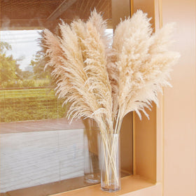 Bannifll dried pampas arrangement on dining table creates warm focal point.