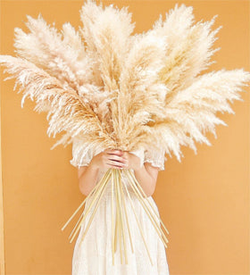 Bannifll natural beige pampas grass highlights soft texture