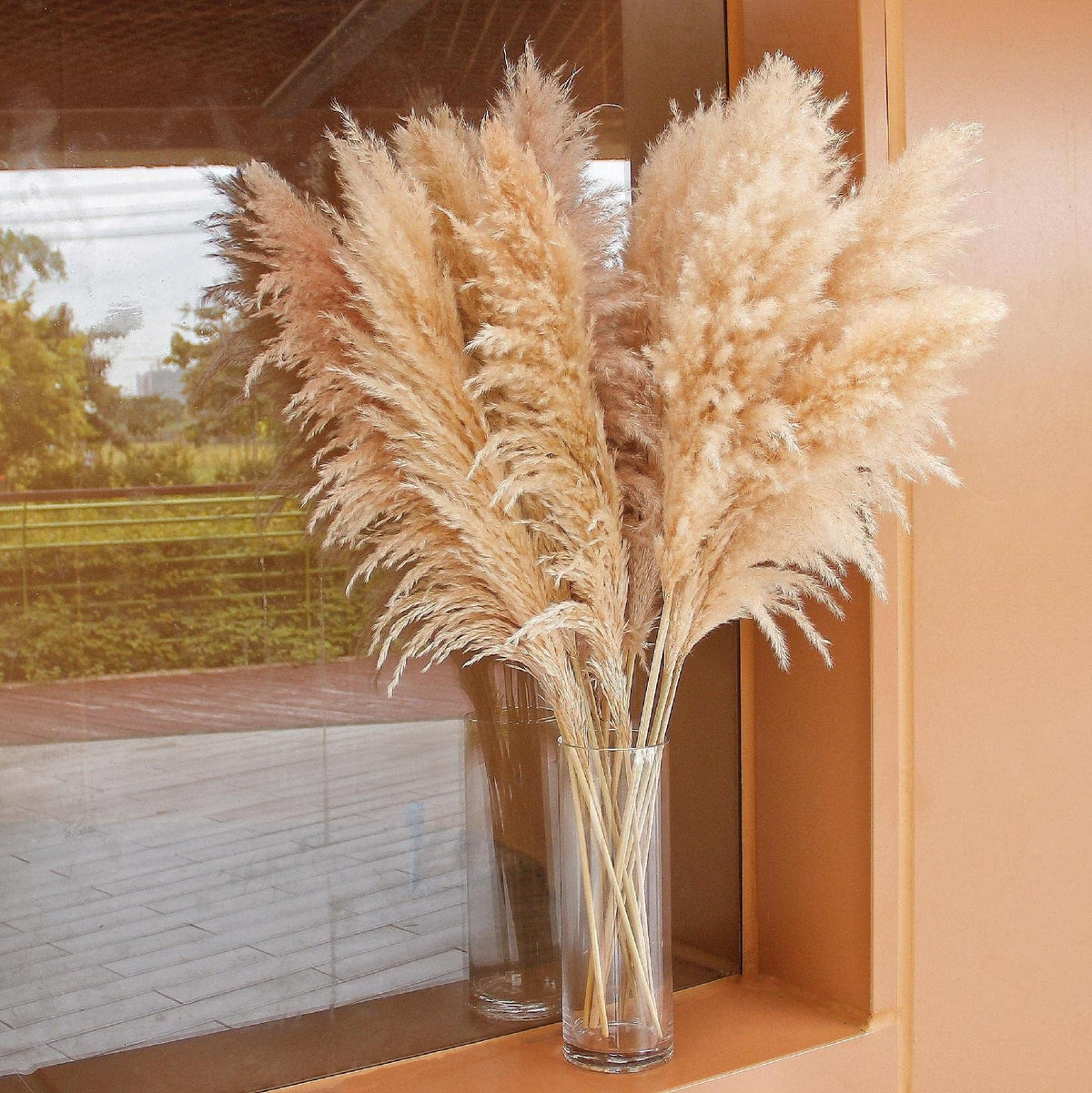 Bannifll packaging and care card included with pampas grass set