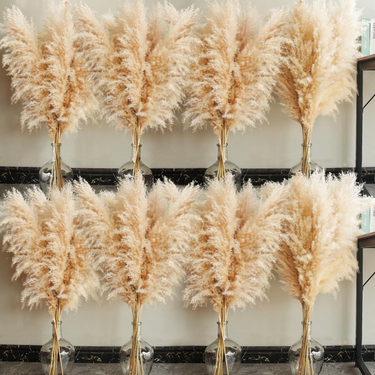 Bannifll tall pampas grass 40-inch stems for dramatic floor display.