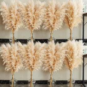 Bannifll tall pampas grass 40-inch stems for dramatic floor display.