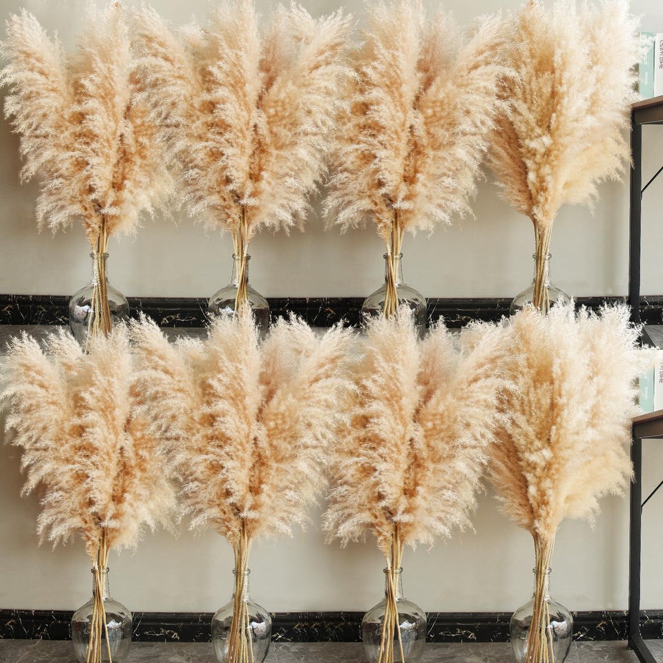 Bannifll tall pampas grass 40-inch stems for dramatic floor display.
