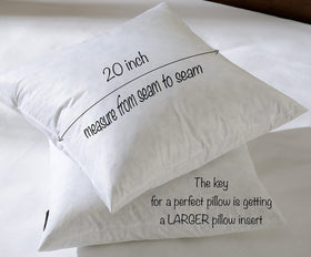 Basic Home 20x20 insert fits standard pillow covers easily