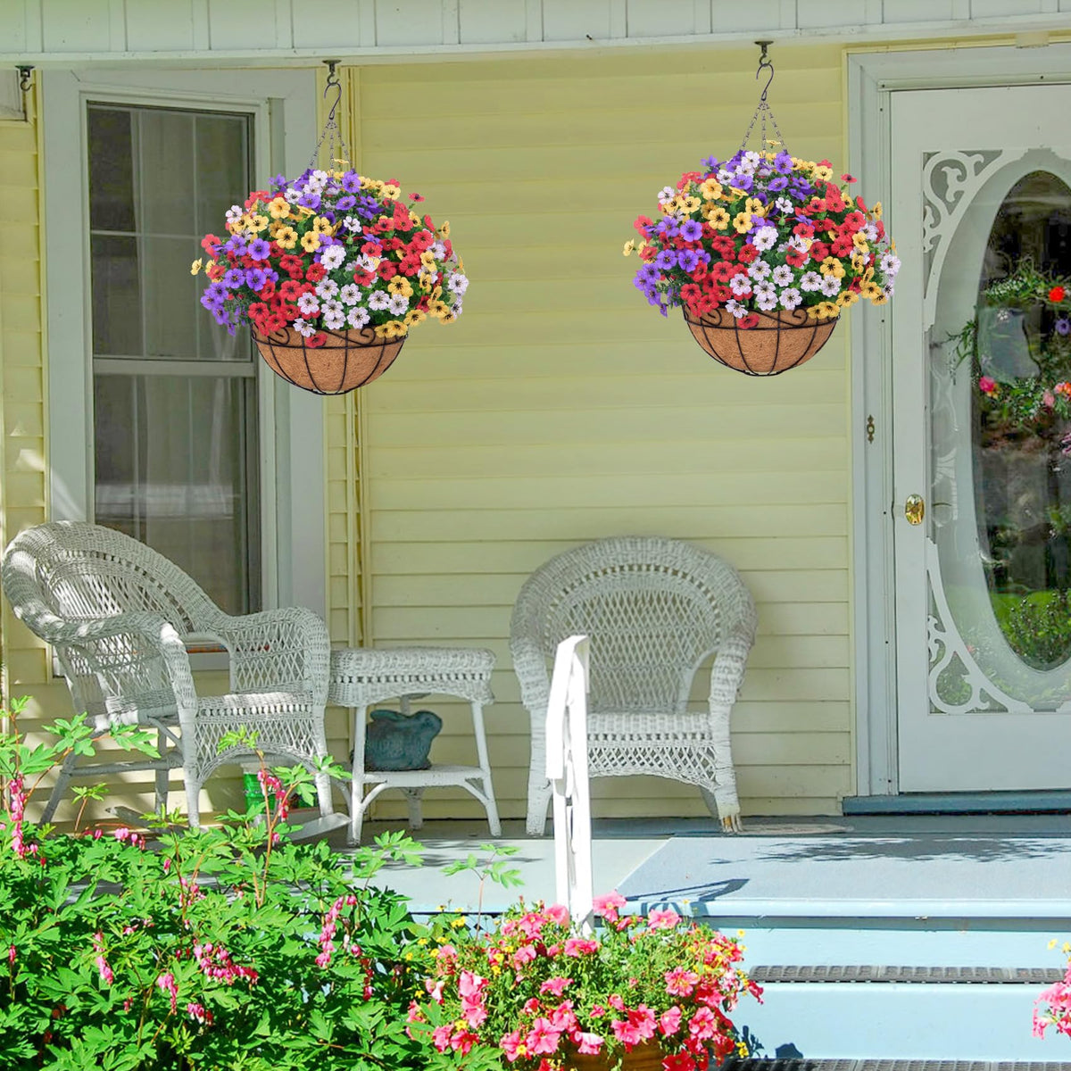 Indoor use of Bassion hanging flowers adds spring vitality to living space.
