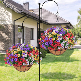 UV-resistant flowers thriving under sun exposure beside wind and rain.