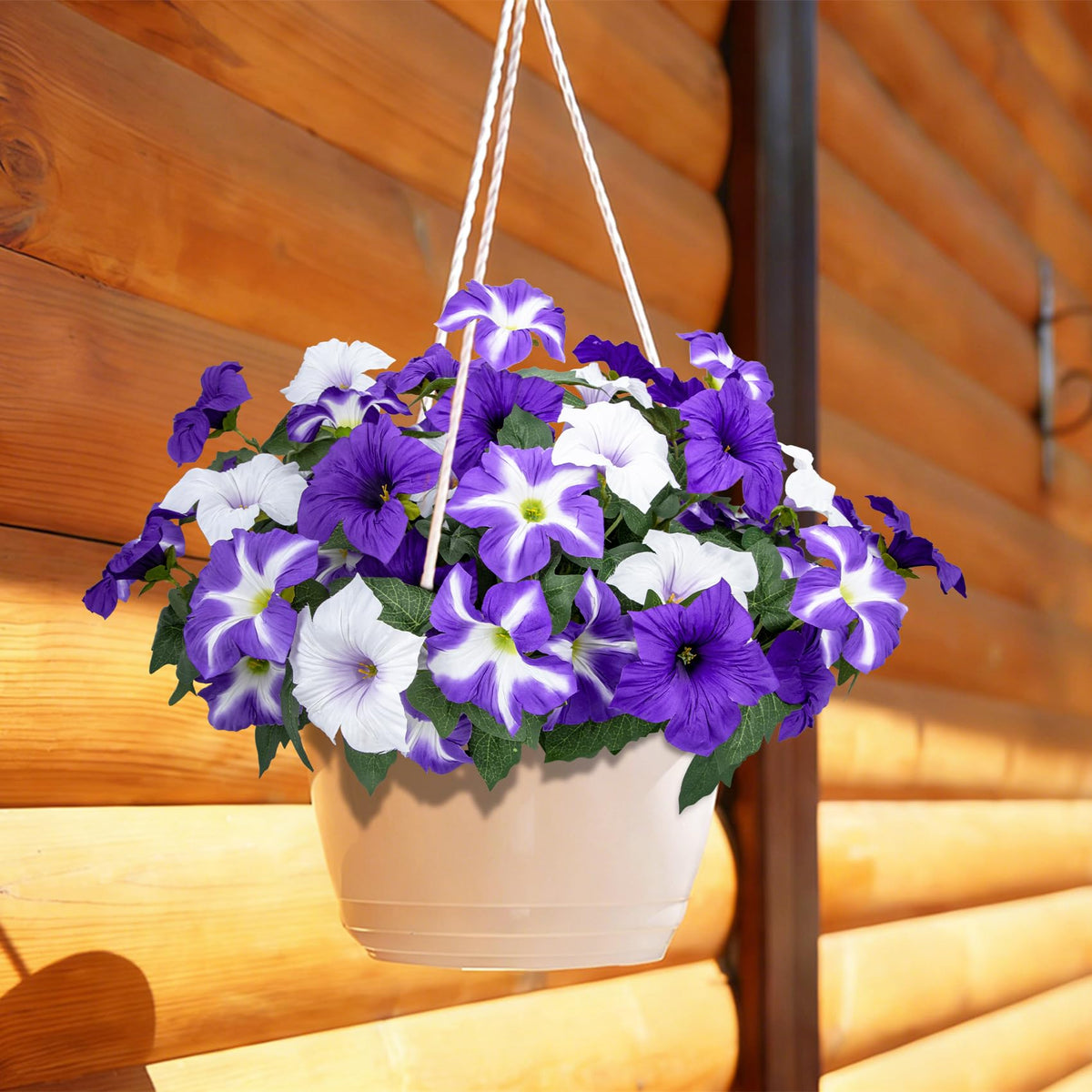 Bassion hanging basket flowers add instant life and color.