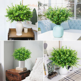 Bassion packaging may flatten stems; reshape for best appearance.