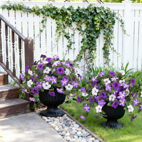 Bassion UV-resistant outdoor flowers withstand wind and rain for lasting decor.