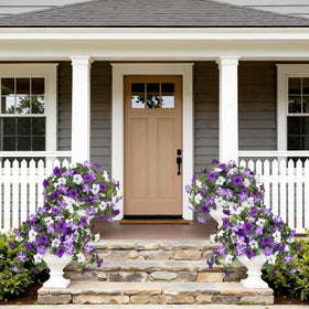 Bassion window box outdoor flowers create instant curb appeal.