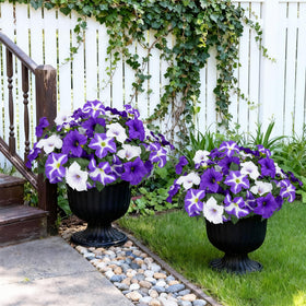 Bassion faux flowers bring balcony and porch vitality.