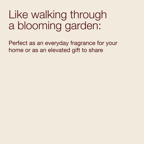 Japanese Cherry Blossom aroma elevates daily routines and special occasions.