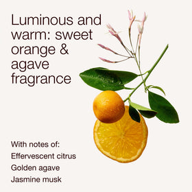Bath & Body Works Sweet Orange & Agave candle with lid off, amber glass glow.