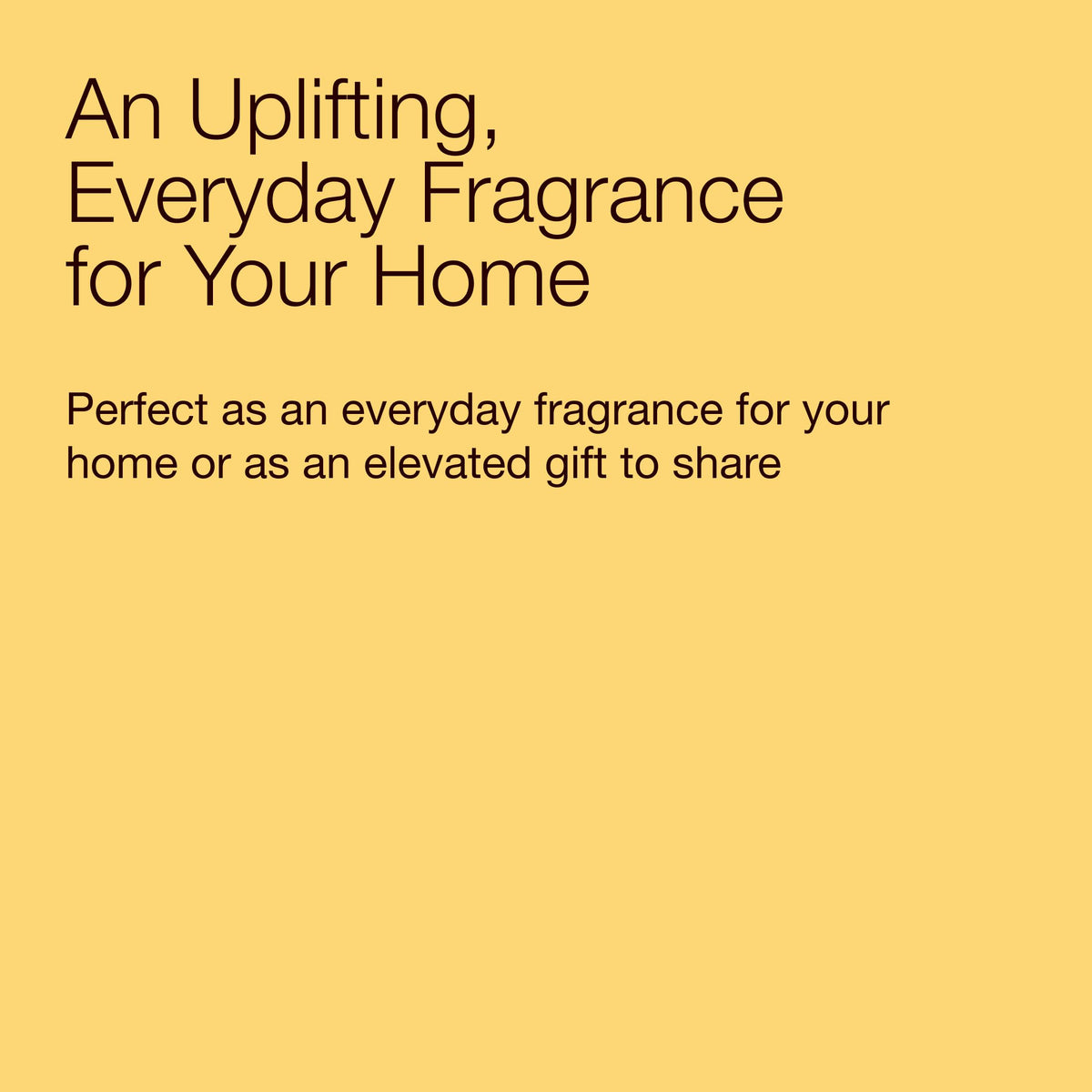 Bath & Body Works gift-ready candle, packaging with lid for citrus lovers.
