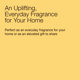 Bath & Body Works gift-ready candle, packaging with lid for citrus lovers.