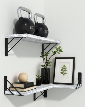 BAYKA cat shelves offer a playful, space-saving option for pets.