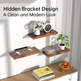 BAYKA bedroom decor display with plants and items on shelves