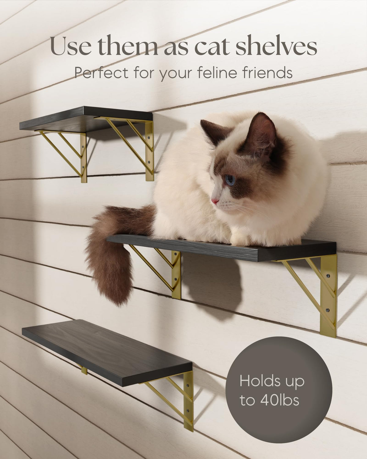 BayKA wall shelves beside kid books for easy access and display
