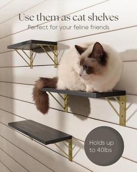 BayKA wall shelves beside kid books for easy access and display