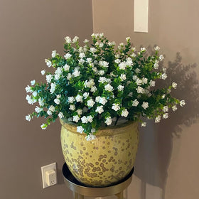 BCBLF maintenance-free outdoor flowers ready to arrange quickly