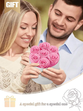 Beaulasting preserved roses pink closeup shows vibrant color retention for a year or longer.