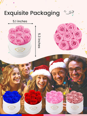Beaulasting roses texture radiant petals accentuates natural beauty and timeless charm.