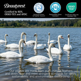Beautyrest goose feather down fiber pillow care tips to restore loft