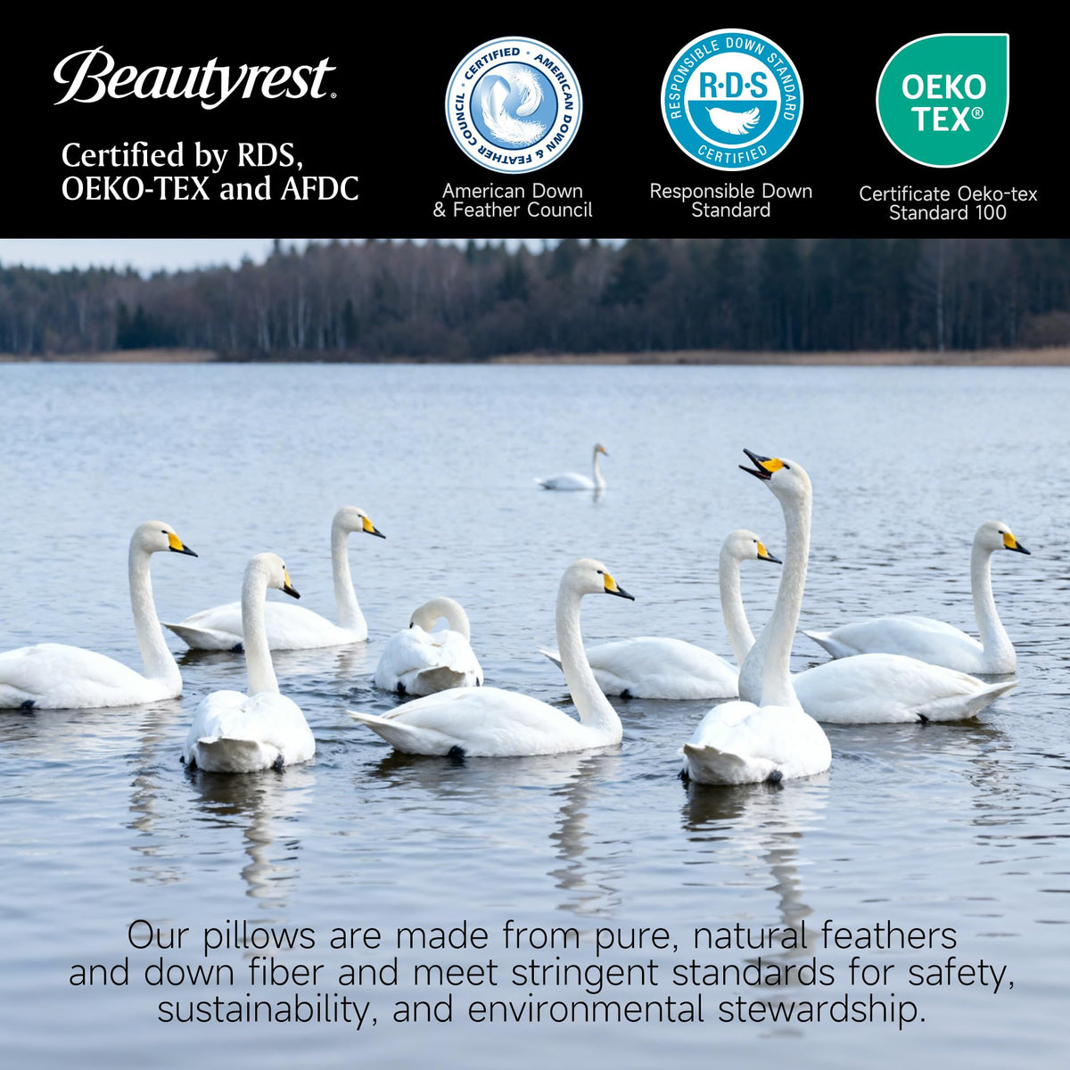 Beautyrest care instructions image suggests 72-hour fluff rebound and care tips.