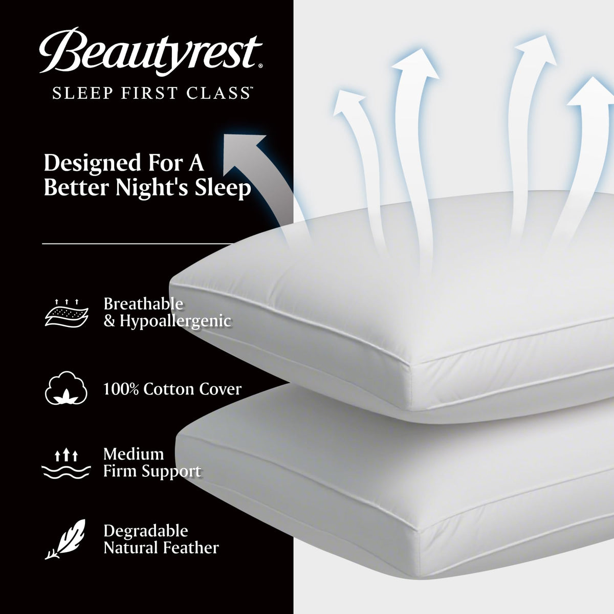 Beautyrest goose feather down fiber pillow gusset detail maintains shape