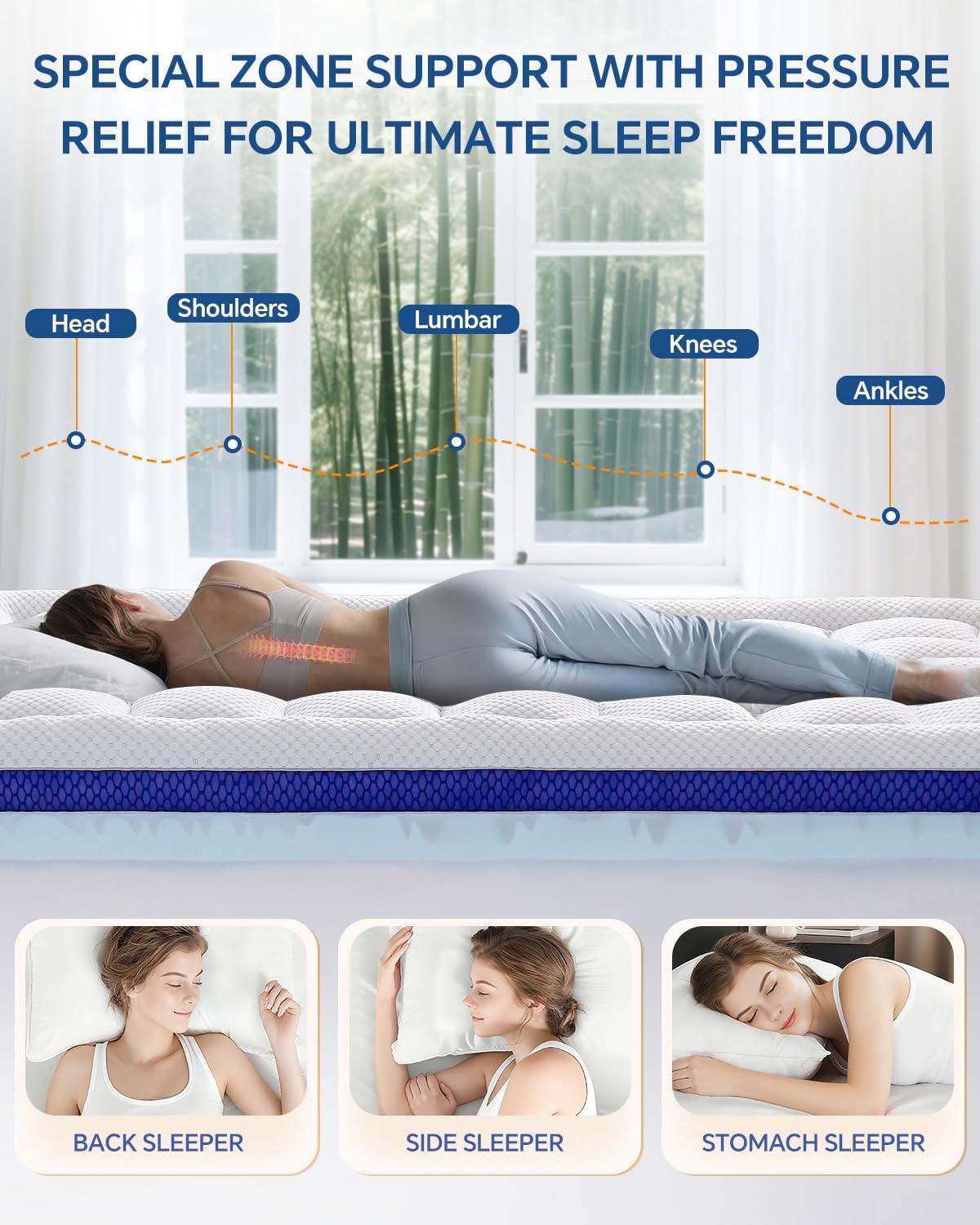 BEDELITE 5-zone design demonstrates ergonomic support for any sleeping position.