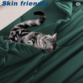 Bedsmile cooling comforter queen all-season use for spring and autumn nights