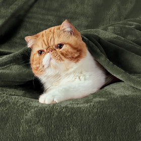 Bedsure olive green blanket close-up shows plush microfiber fabric.