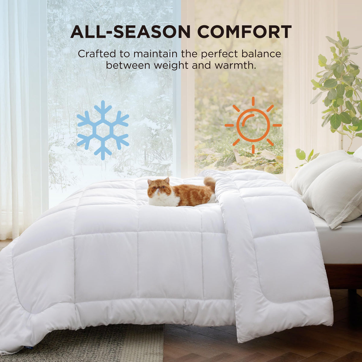 Bedsure all-season comforter provides warmth in winter and cooling in summer