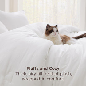 bedsure down-alternative comforter white close-up fiber texture for cozy warmth