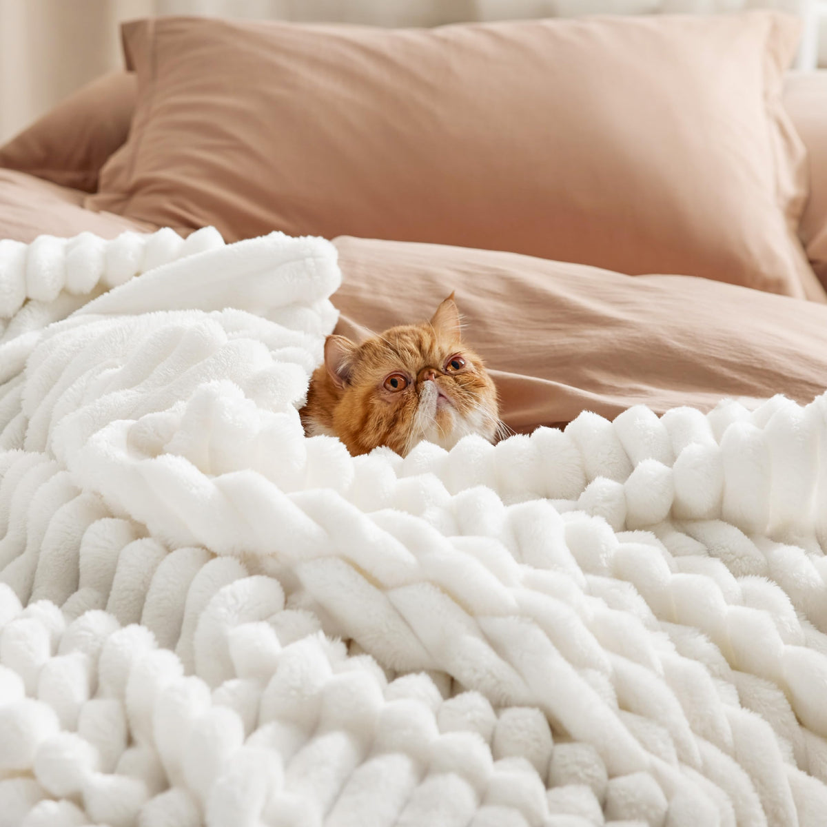 Bedsure GentleSoft blanket draped over a couch for cozy lounging sessions.