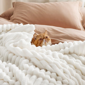 Bedsure GentleSoft blanket draped over a couch for cozy lounging sessions.