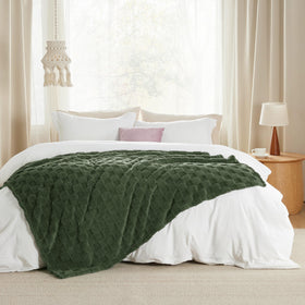 Bedsure GentleSoft Bronze Green Throw Blanket used for kids reading