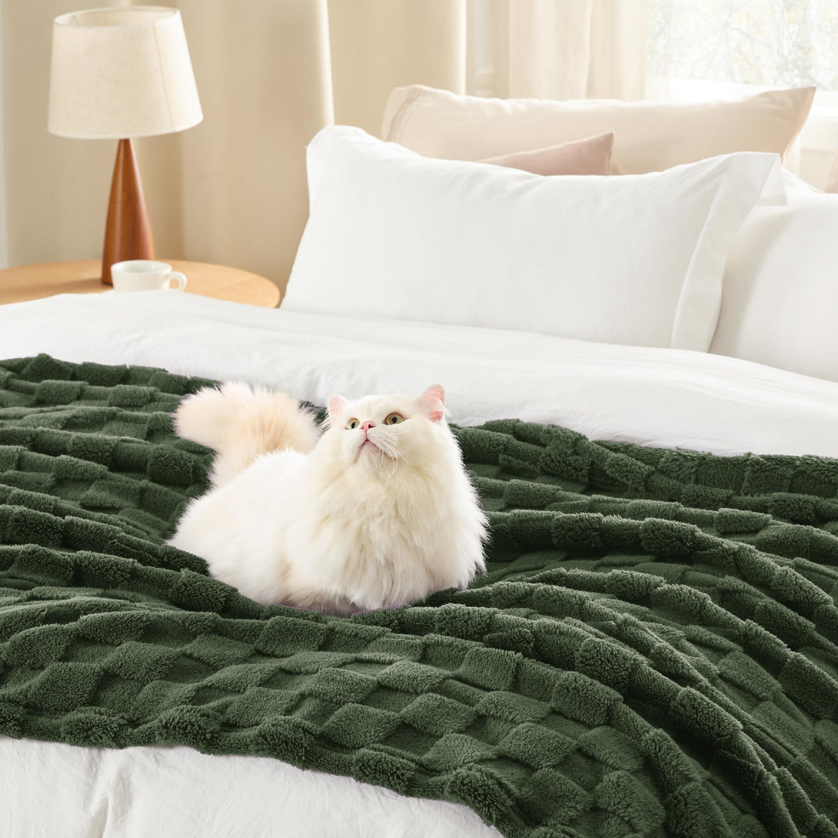 Bedsure GentleSoft Bronze Green Throw Blanket on sofa for lounging comfort